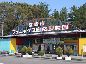 宮崎市フェニックス自然動物園