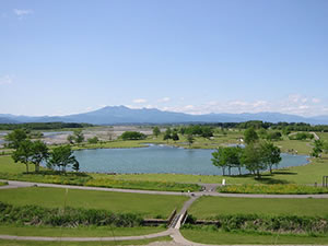 さくら市鬼怒川河川公園